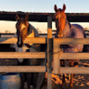 Meet your Posher, Jaimee